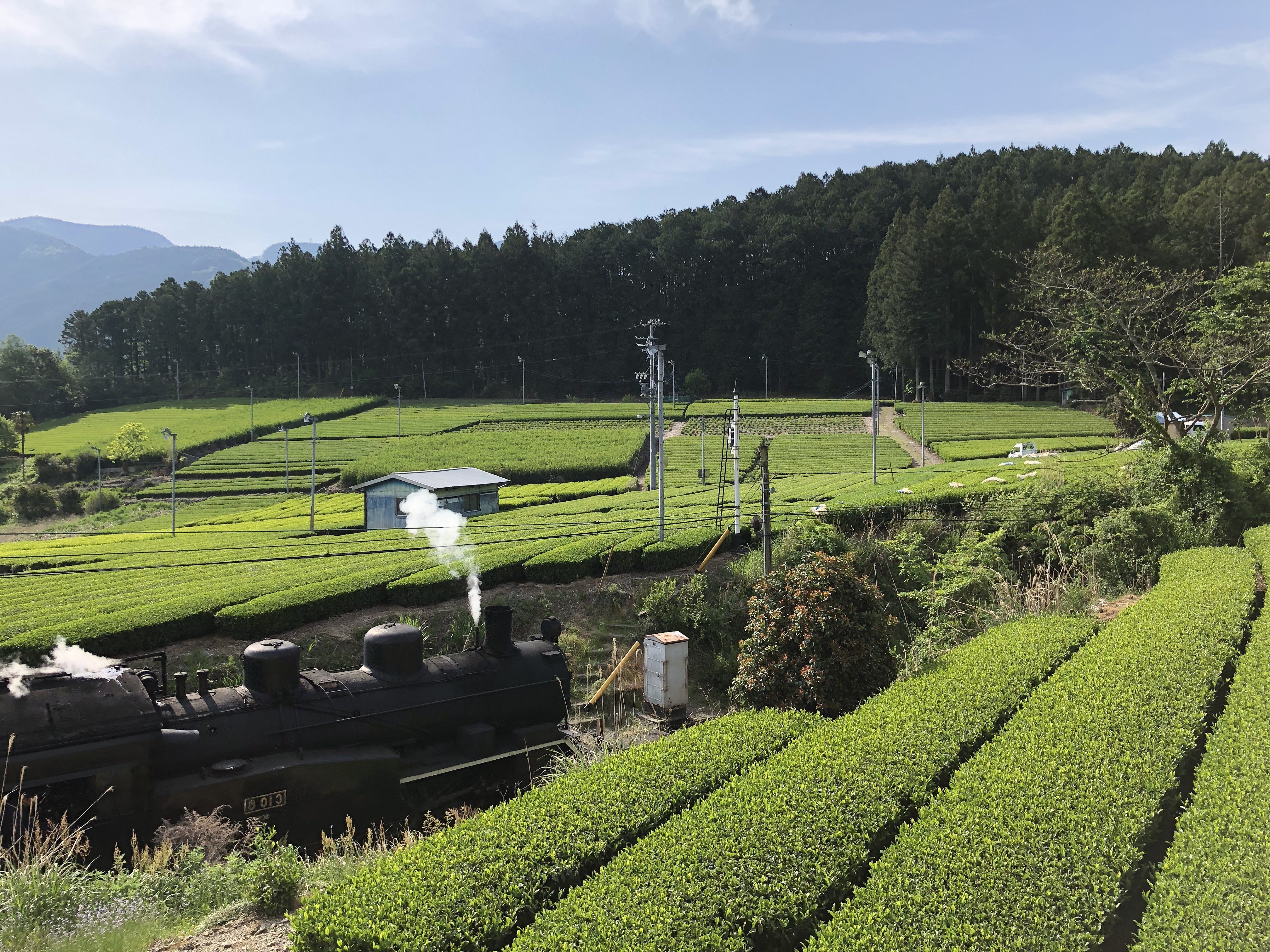 農事組合法人　川根美味しいたけ