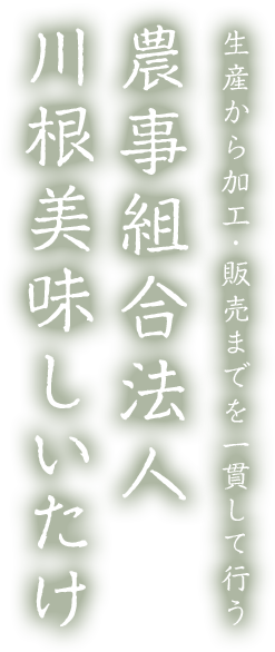 生産から加工・販売までを一貫して行う 農事組合法人 川根美味しいたけ