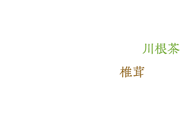 香り高く甘みがある川根茶肉厚で柔らかい椎茸