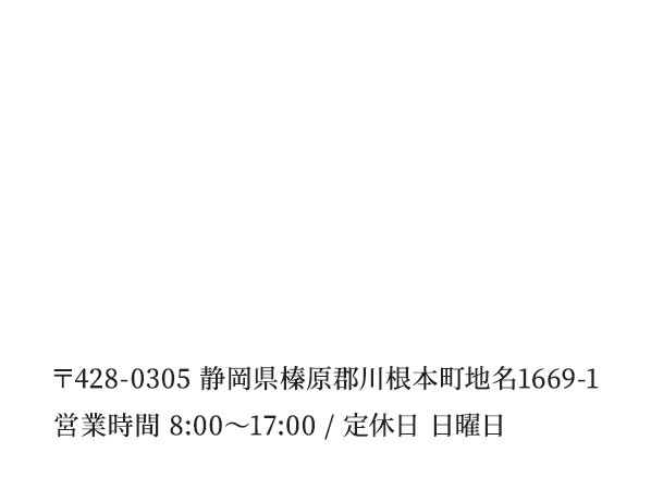 香り高く甘みがある川根茶肉厚で柔らかい椎茸